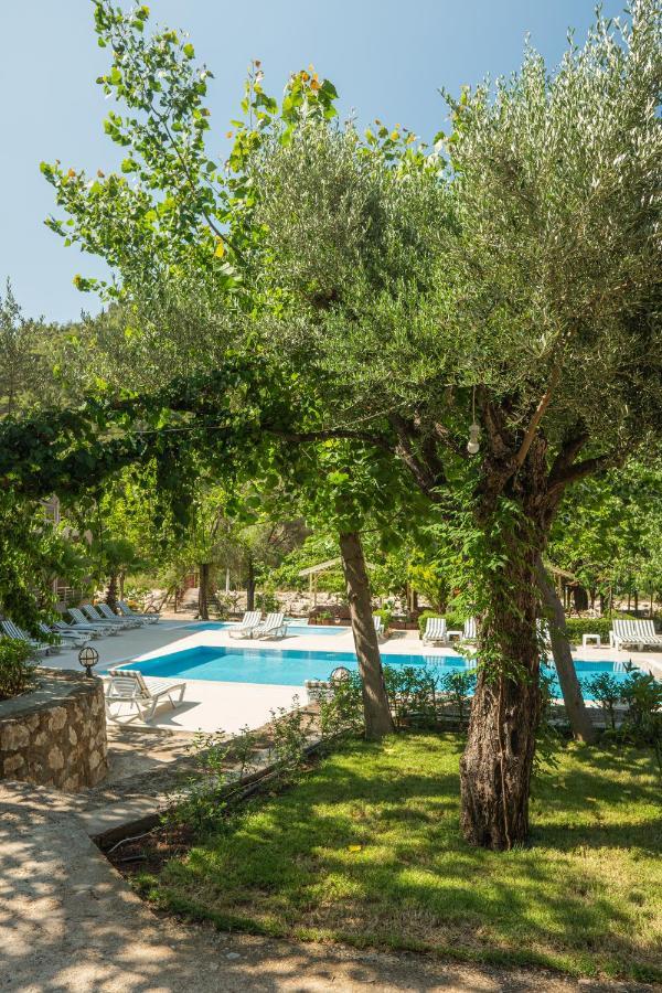 Olimpia Hotel Olympos Exteriör bild