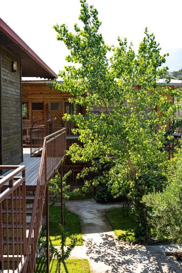 Olimpia Hotel Olympos Exteriör bild
